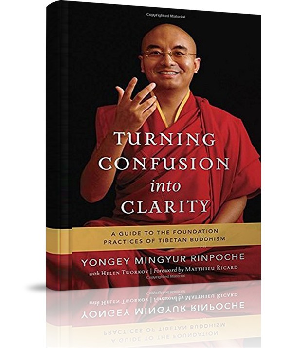 Turning Confusion into Clarity - Turning Confusion into Clarity