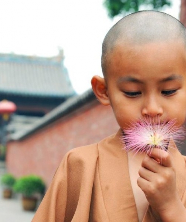 Văn học Phật giáo - Mạn đàm quanh triết lý giáo dục của Phật giáo