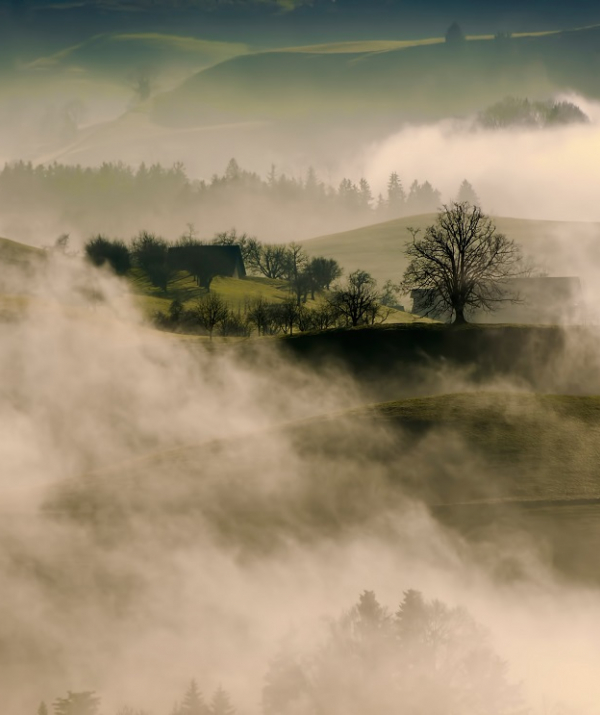 Văn học Phật giáo - Dội trong sương mù