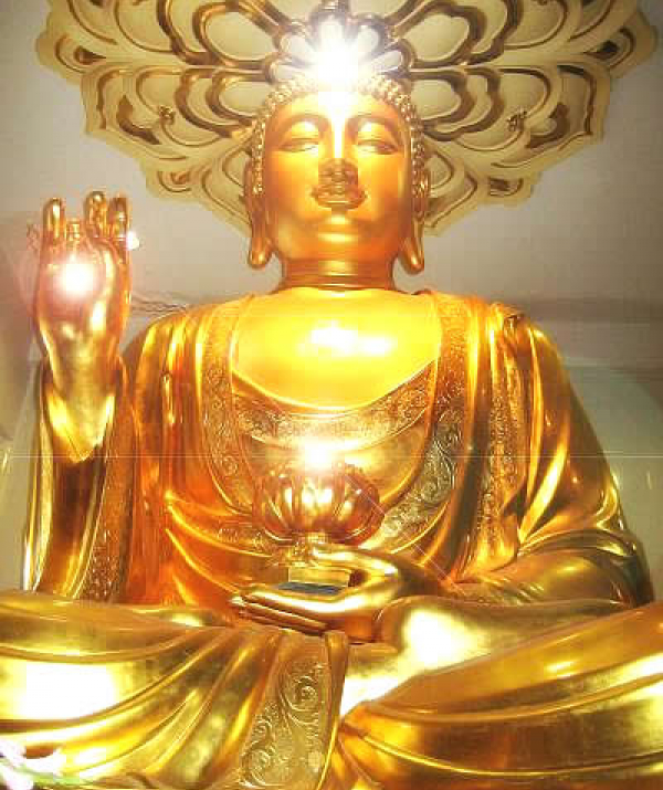 Văn học Phật giáo - Chạm quang minh được an lạc