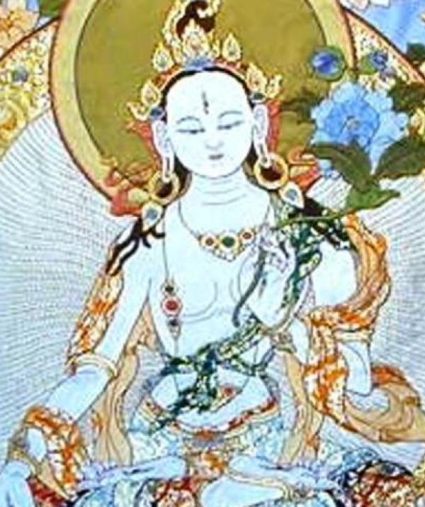 Văn học Phật giáo - Tuyển dịch kinh điển Phật giáo Kim cang thừa