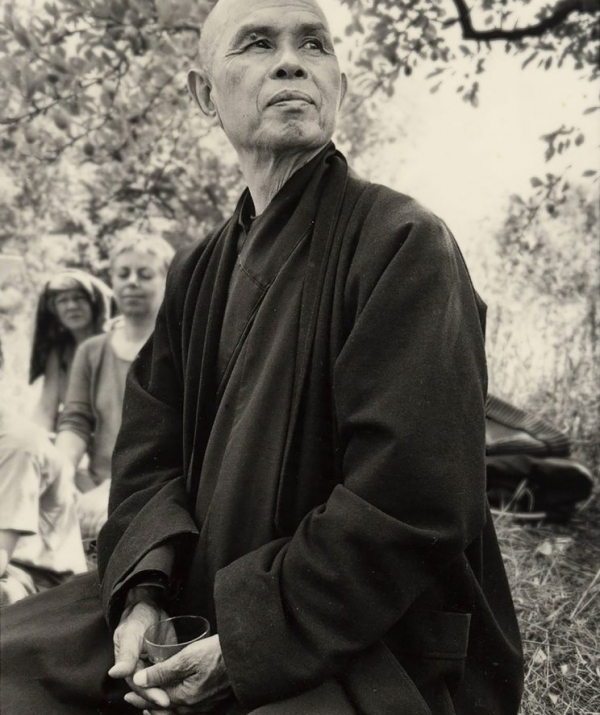 Văn học Phật giáo - Thiền Sư Nhất Hạnh - Đã Về Đã Tới