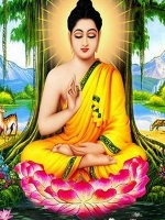 Phật Pháp Căn Bản