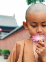 Mạn đàm quanh triết lý giáo dục của Phật giáo