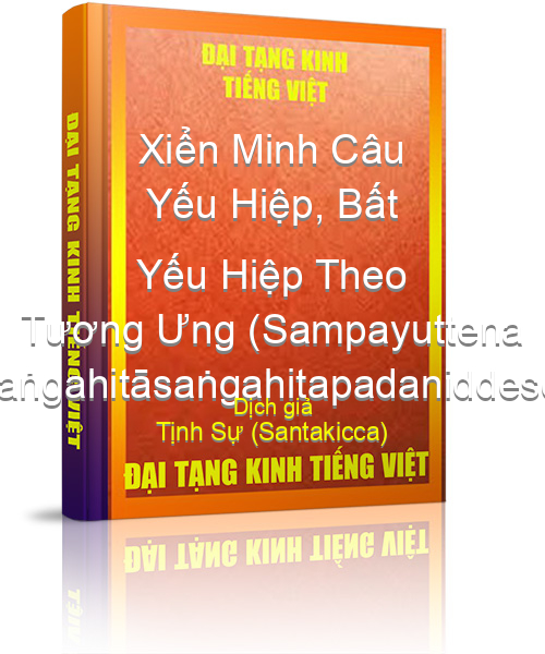 Đại Tạng Kinh Việt Nam