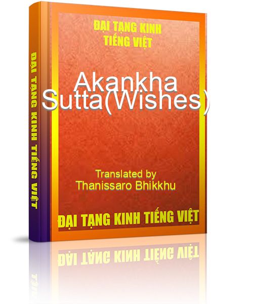 Đại Tạng Kinh Việt Nam
