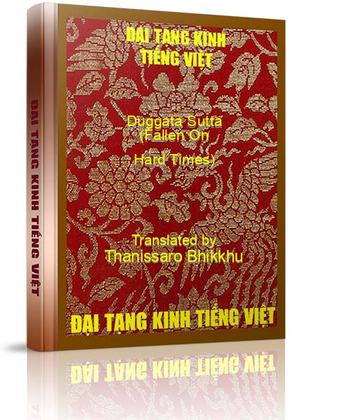 Đại Tạng Kinh Việt Nam