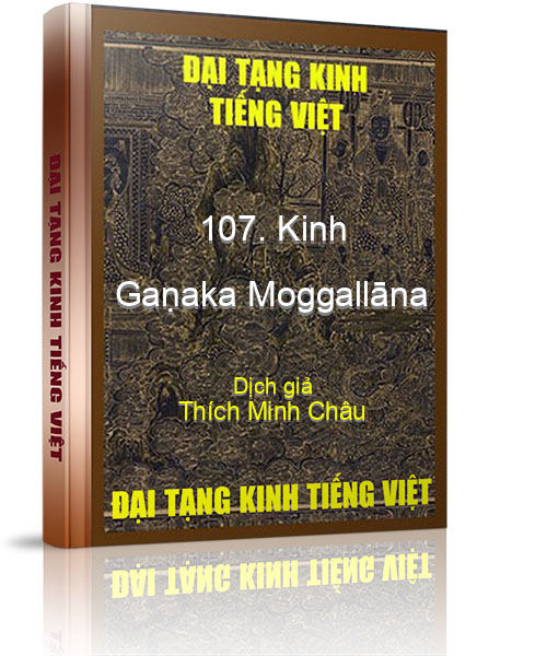 Đại Tạng Kinh Việt Nam