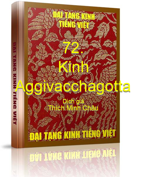 Đại Tạng Kinh Việt Nam