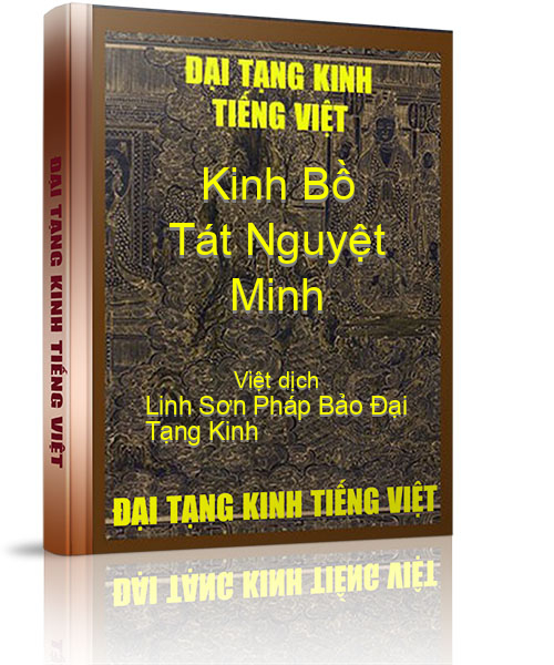 Đại Tạng Kinh Việt Nam