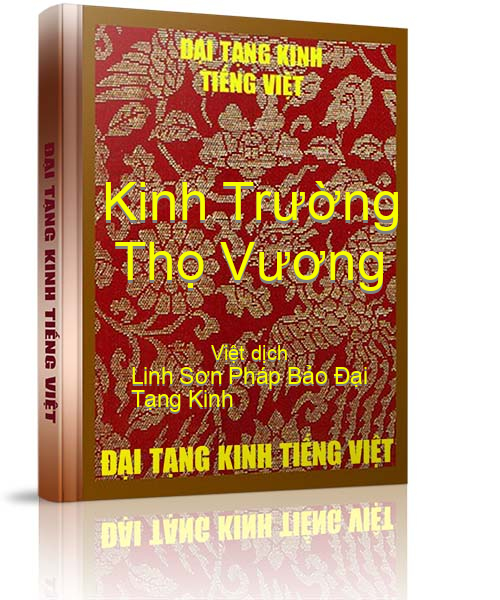 Đại Tạng Kinh Việt Nam